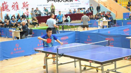  2017年中國乒乓球協(xié)會(huì)會(huì)員積分賽暨第十七屆臨洮縣“巍雅斯”杯乒乓球大獎(jiǎng)賽圓滿落幕