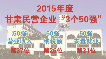  巍雅斯躋身甘肅2015年度民營企業(yè)“三個50強”